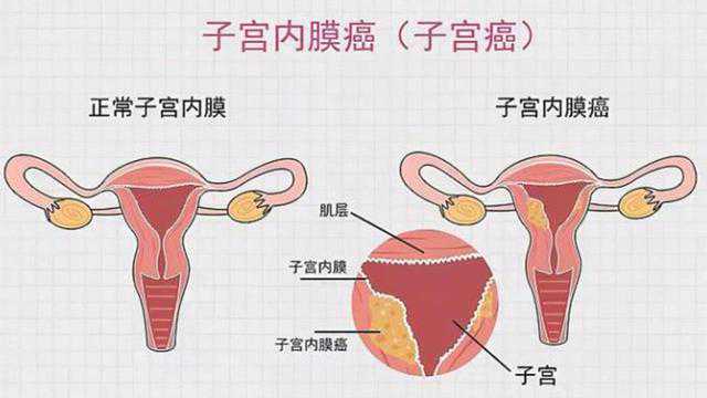 上海代生母亲咨询-上海求正规代孕公司-上海私立医院提供供卵吗